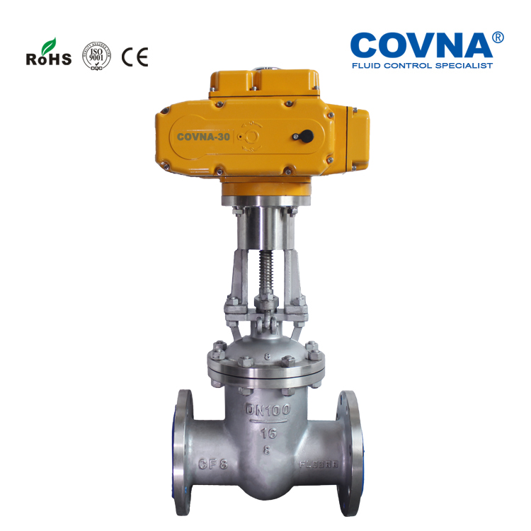 Motorized flange gate valve (1)