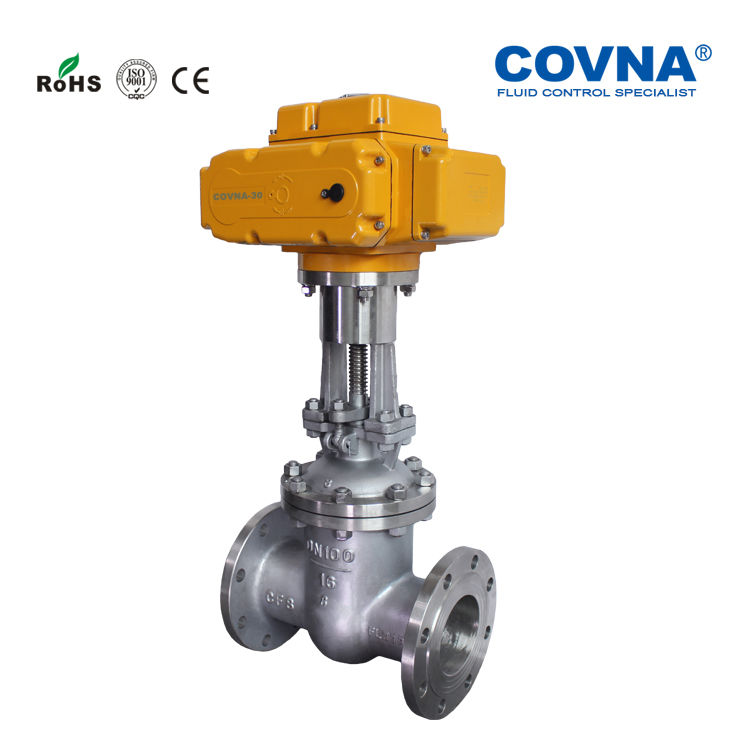 Motorized flange gate valve (2)