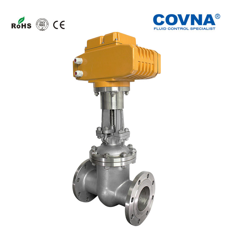 Motorized flange gate valve (4)