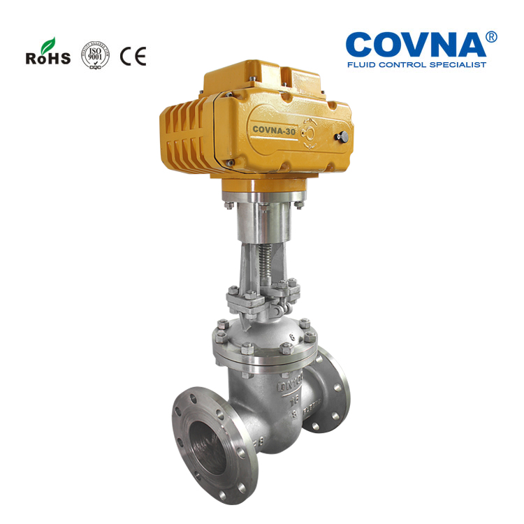 Motorized flange gate valve (6)